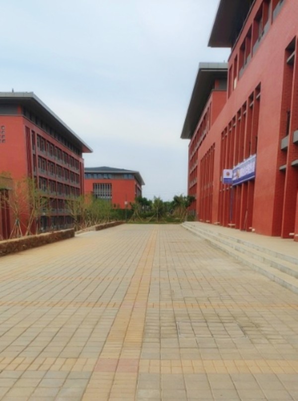 洛陽職業(yè)技術學院透水磚工程案例-施工效果展示 洛陽職業(yè)技術學院透水磚工程案例-施工效果展示