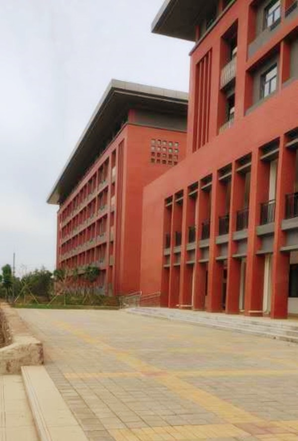 洛陽職業(yè)技術學院透水磚工程案例-施工效果展示 洛陽職業(yè)技術學院透水磚工程案例-施工效果展示