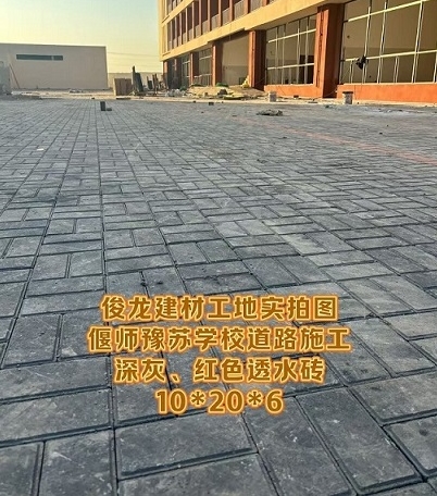 偃師豫蘇學校道路施工 深灰、紅色透水磚 10*20*6