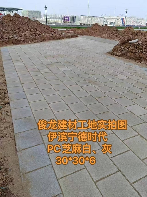 洛陽伊濱寧德時(shí)代 PC芝麻白、灰 30*30*6