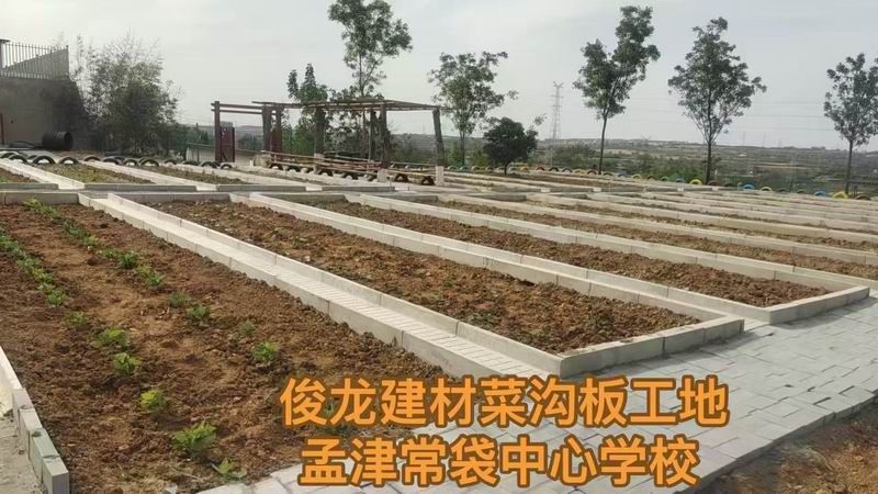 孟津常袋中心學校